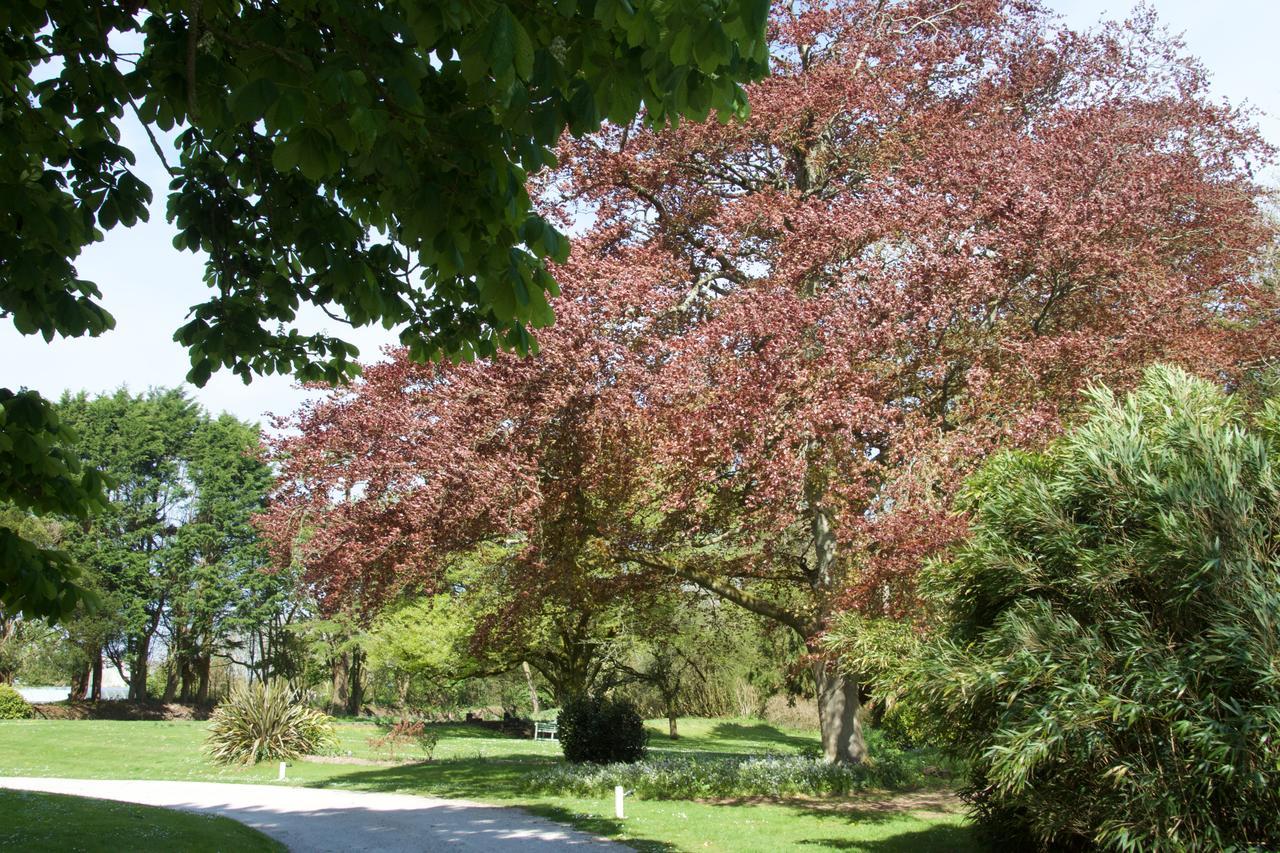 Trewornan Manor Bed and Breakfast Wadebridge Εξωτερικό φωτογραφία